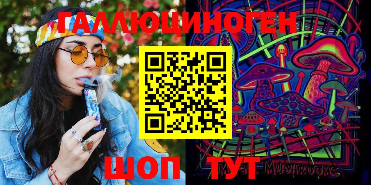 Псилоцибиновые грибы Psilocybe Губаха